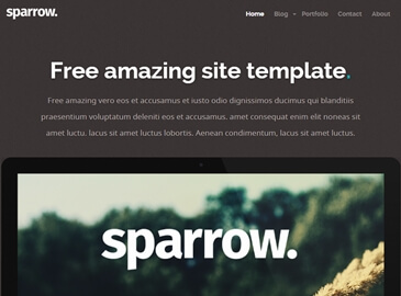 Портфолио
