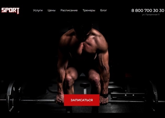 Портфолио